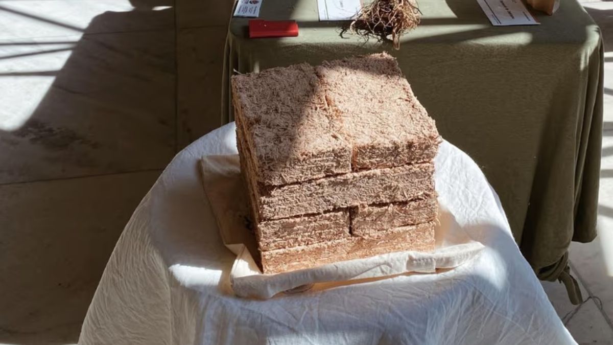 Cópia de IMAGEM PADRÃO PORTAL SECHAT JPG 1200 X 675 (1).jpg