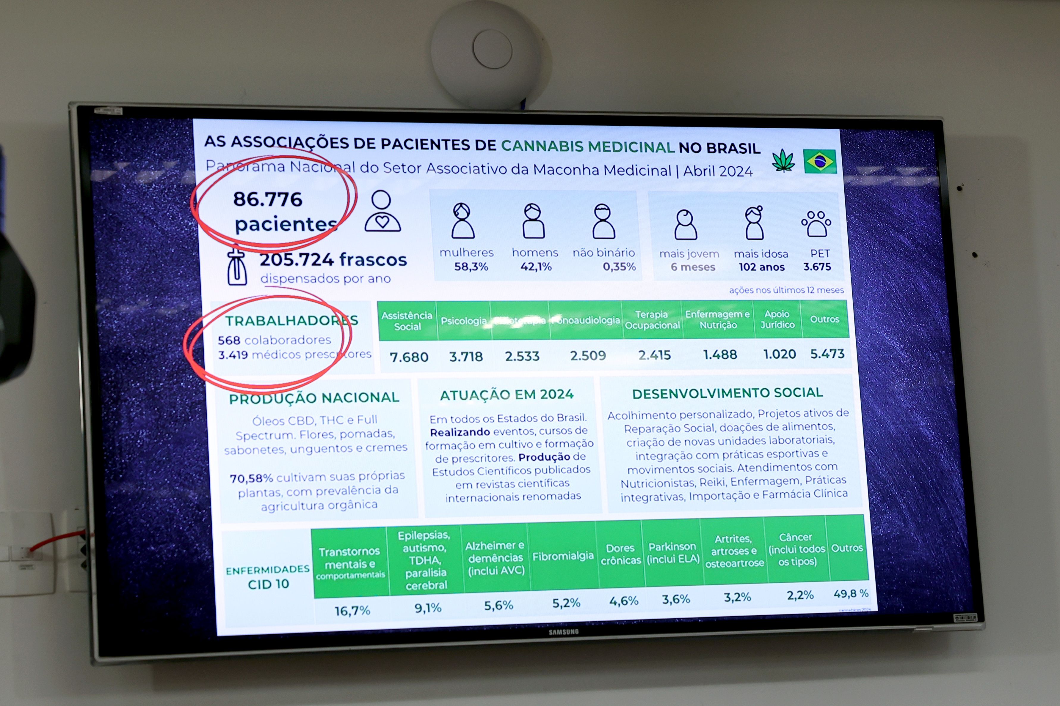 Dados.jpg