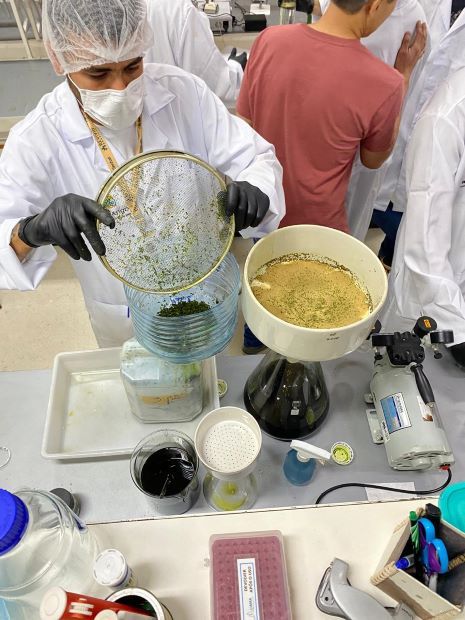 Extração de óleo da cannabis feita em laboratório do IQ em associação entre UnB e Abrapango Imagem Fernanda VasconcelosIQ.jpg