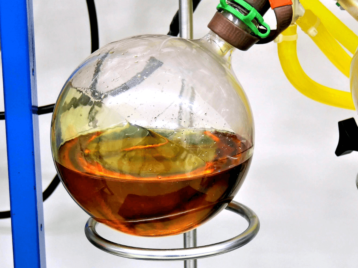 Diferenças entre os canabinoides: CBD, CBG, CBN e CBC