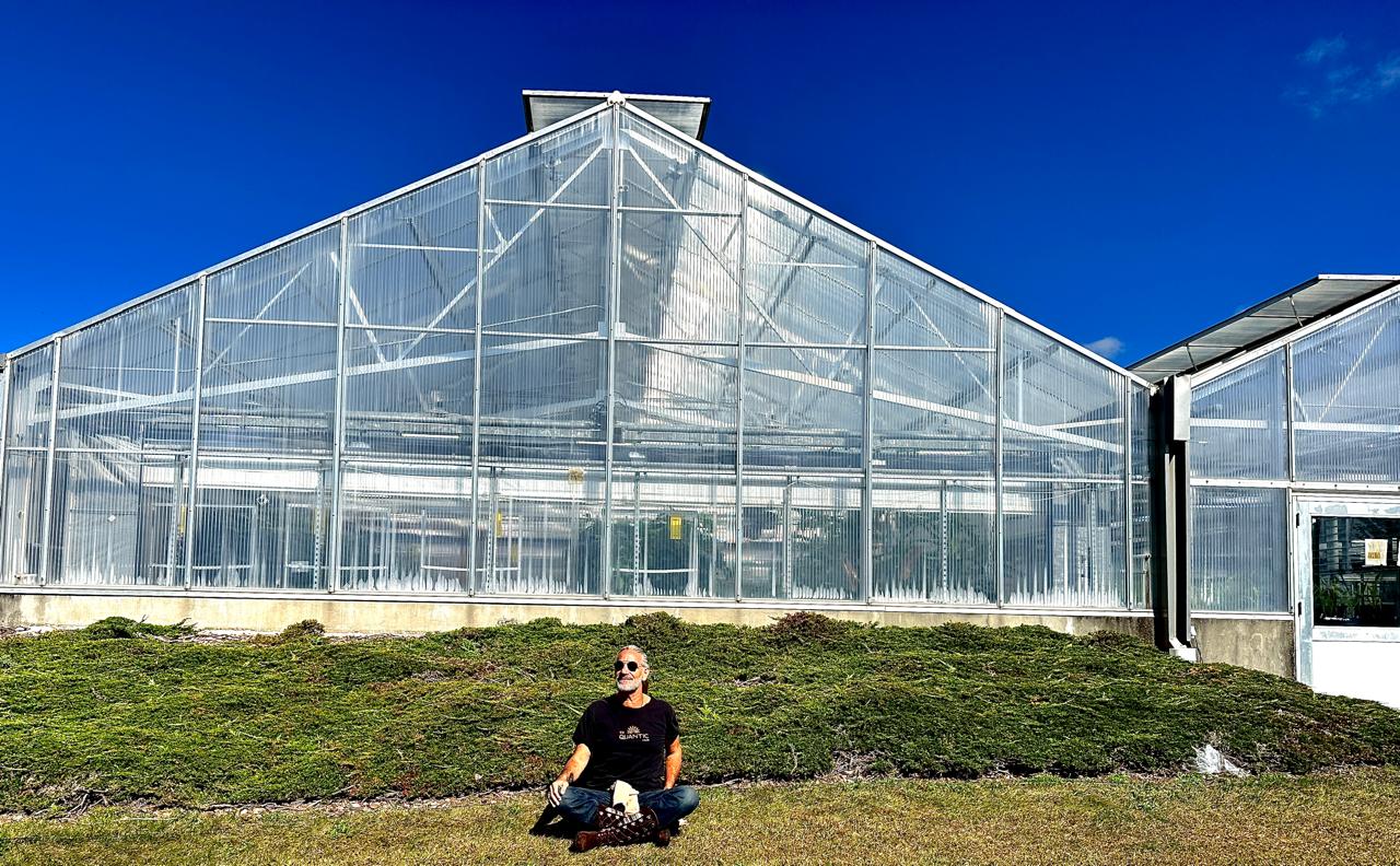 Imagem do WhatsApp de 2025-10-30 à(s) 16.30.23_04895c07.jpg