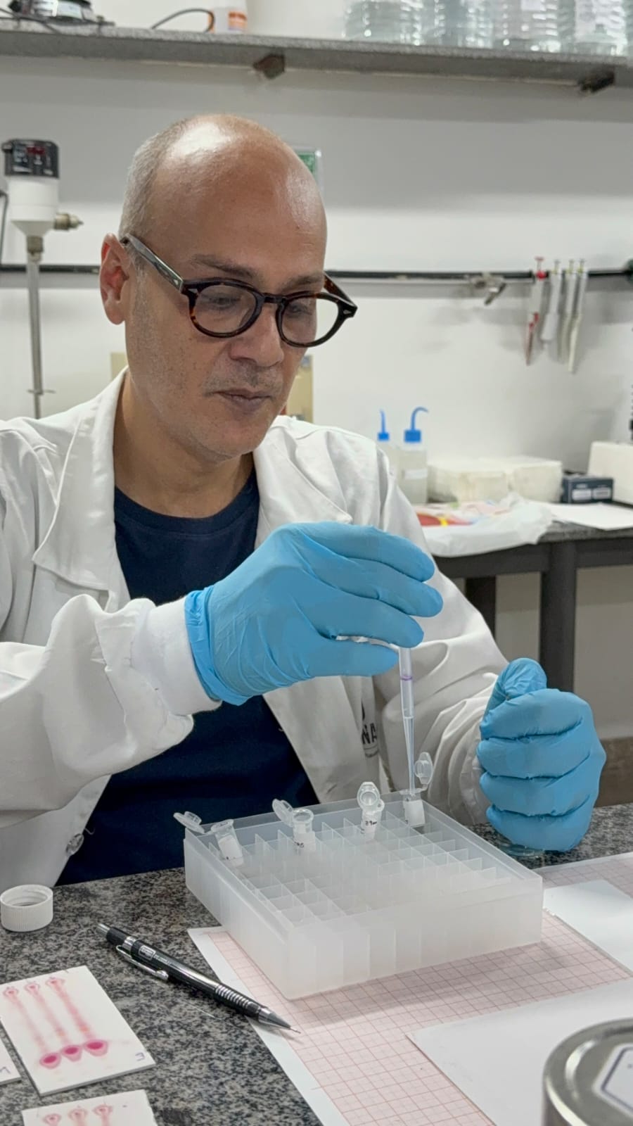 Imagem do WhatsApp de 2025-11-12 à(s) 17.12.55_26cdb912.jpg