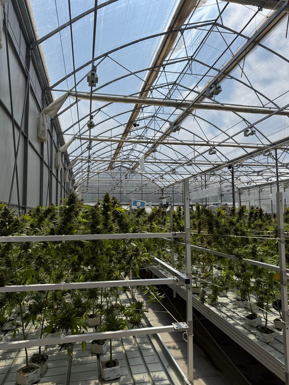 Imagem do WhatsApp de 2025-11-13 à(s) 09.53.58_55a3a139.jpg