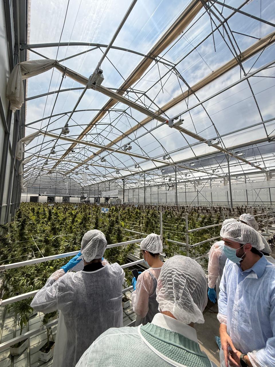 Imagem do WhatsApp de 2025-11-13 à(s) 09.53.58_e03bf408.jpg