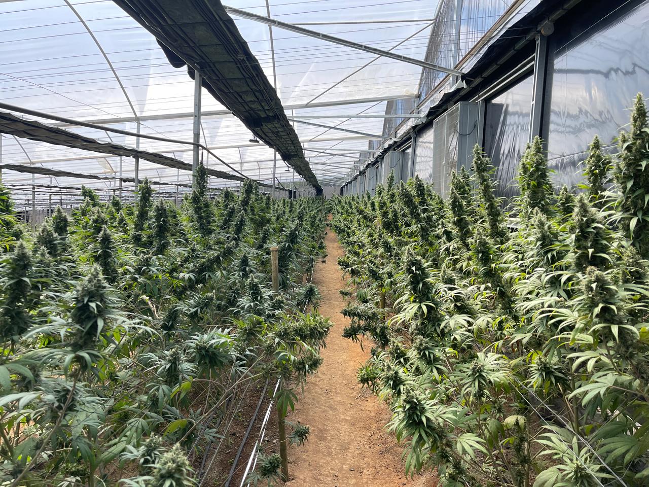 Imagem do WhatsApp de 2025-11-26 à(s) 17.30.57_f9459ae2.jpg