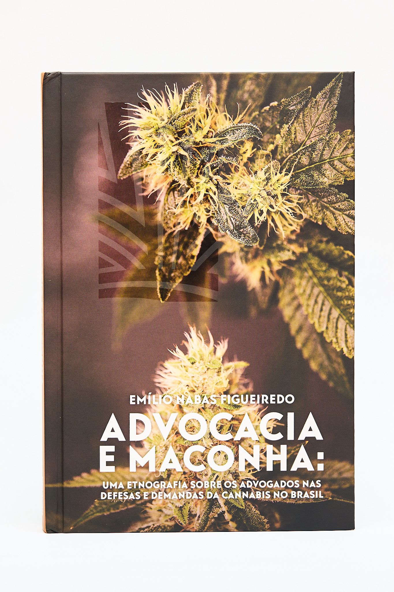 Livro emilio .jpg
