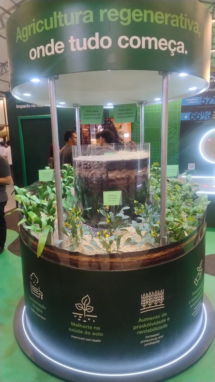 WhatsApp Image 2025-11-12 at 16.20.40.jpeg