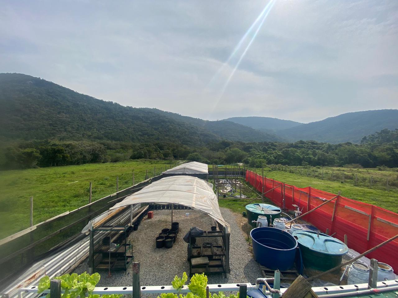 WhatsApp Image 2025-11-26 at 13.35.14.jpeg