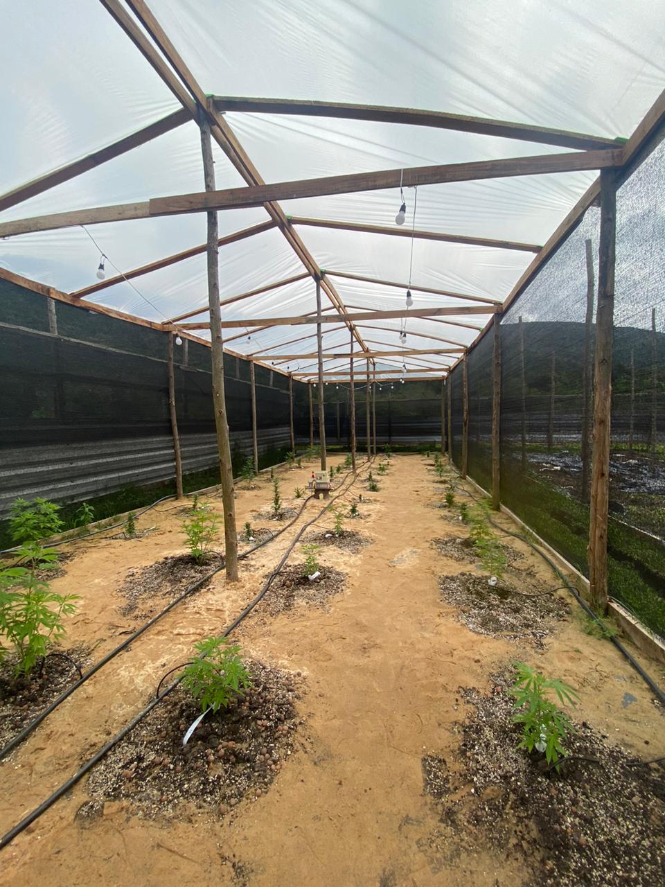 WhatsApp Image 2025-11-26 at 13.35.15.jpeg