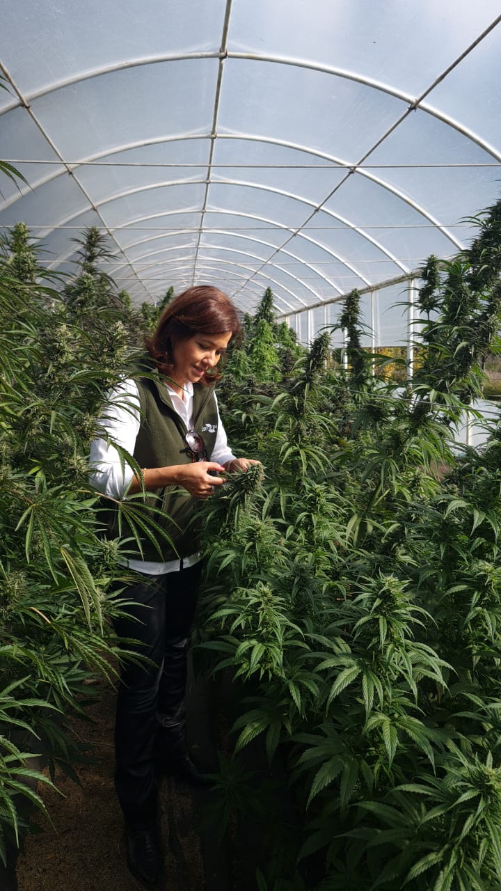 WhatsApp Image 2026-04-15 at 13.05.40.jpeg