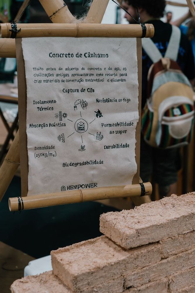 Empresário aposta no cânhamo na construção e quer torna...