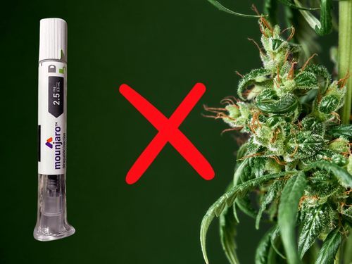 tirzepatide and cannabis on ingestive behavior in adults with overweight or obesity: a randomized 6-week phase 1 trial Can CBD Help You Lose